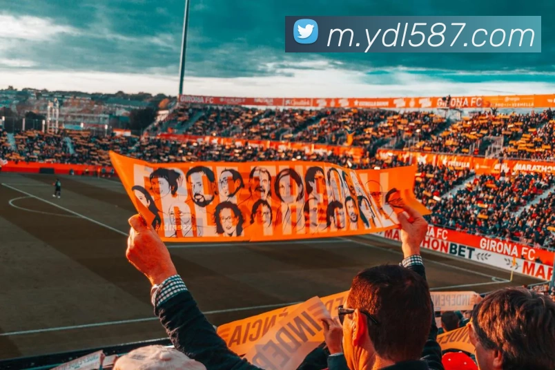 战术分析频道